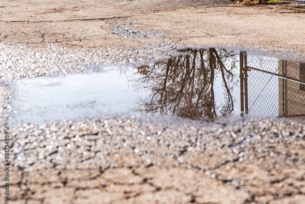 Puddle on brown cracked rocky alley way reflecting bare tree and chain link fence Puddle on brown cracked rocky alley way reflecting bare tree and chain link fence