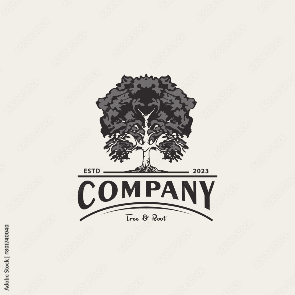 Fototapeta premium vintage oak maple logo design for service residential 2