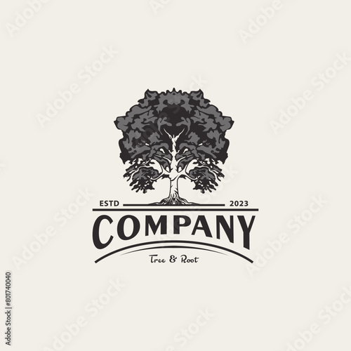 vintage oak maple logo design for service residential 2