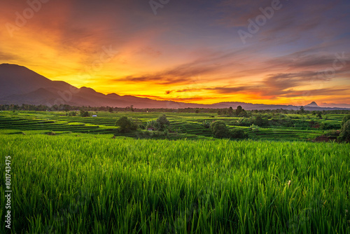 beautiful morning view from Indonesia of mountains and tropical forest