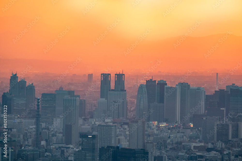 Fototapeta premium 夕焼けの首都