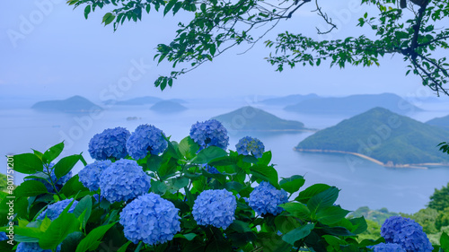 紫陽花で彩られた高台からの海と島々の眺望