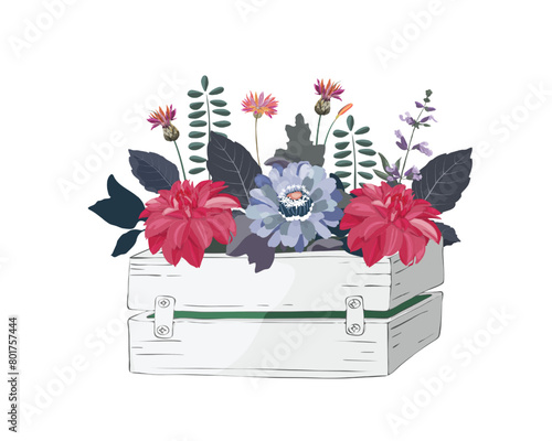 Vector flowers and herbs in a garden wooden white box. Zinnias, dahlias and cornflowers