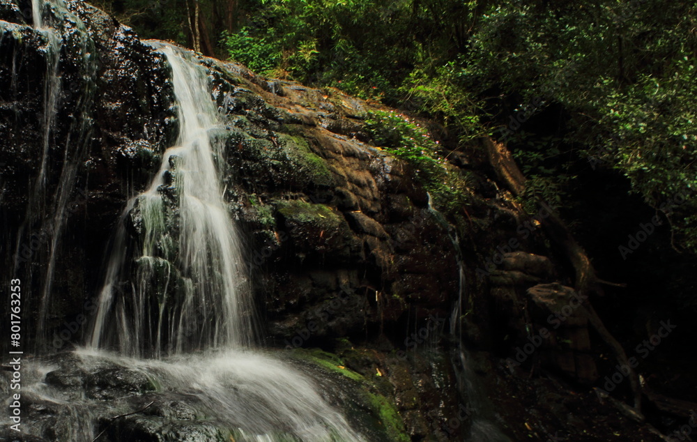 beautiful vattakanal waterfall on levinge stream, in a tropical rainforest on the foothills of palani mountains at kodaikanal, tamilnadu in india beautiful vattakanal waterfall on levinge stream, in a tropical rainforest on the foothills of palani mountains at kodaikanal, tamilnadu in india
