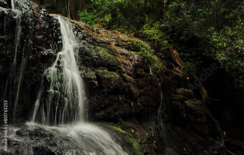 beautiful vattakanal waterfall on levinge stream, in a tropical rainforest on the foothills of palani mountains at kodaikanal, tamilnadu in india