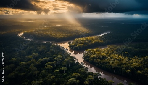 "Veil of Danger: Dark Intrigue in the Amazonian Wilderness" 