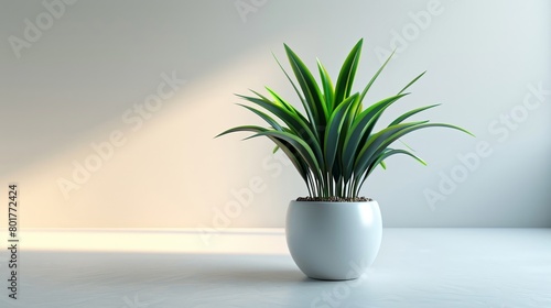 A houseplant set against a simple white backdrop serves as a gentle reminder of the elegance in minimalism. AI generated.