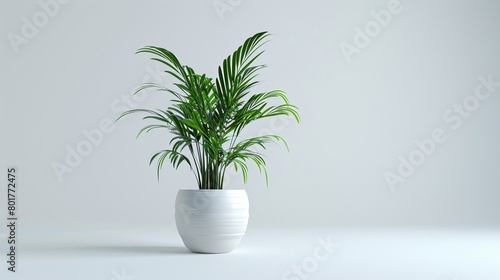 A houseplant set against a simple white backdrop serves as a gentle reminder of the elegance in minimalism. AI generated.