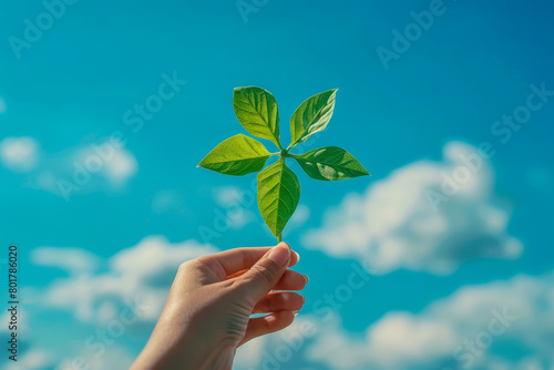 A hand holding a leaf in the air with a blue sky in the background