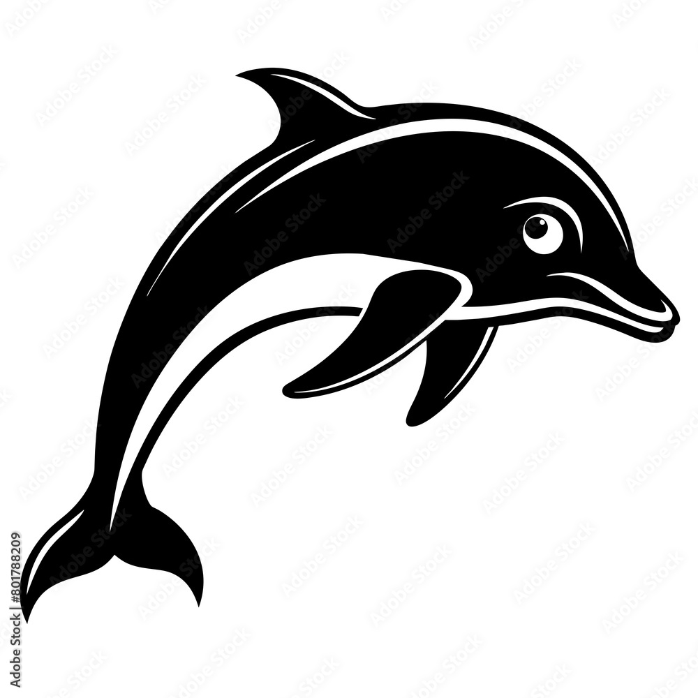 dolphin isolated on white background dolphin isolated on white background