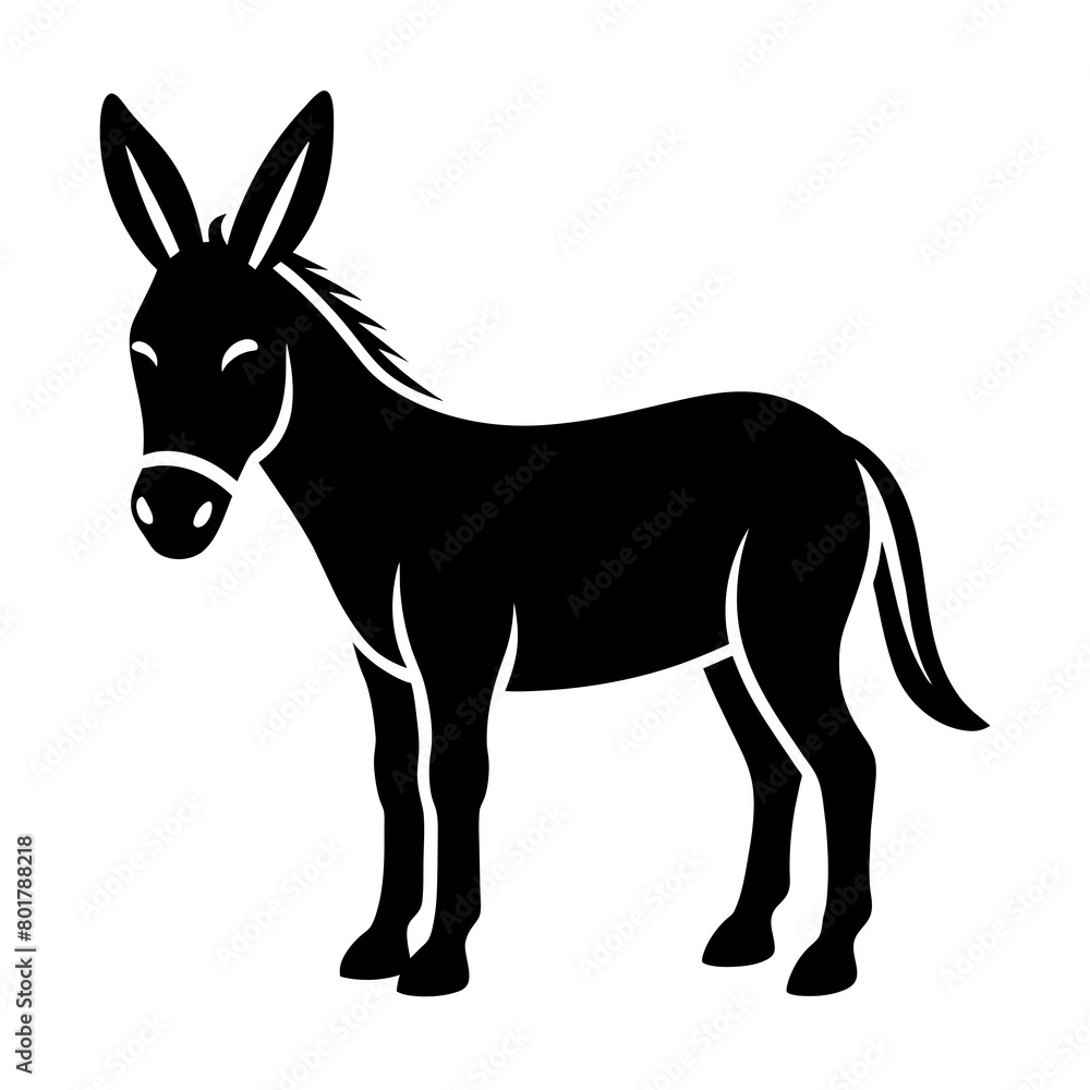 donkey isolated on white