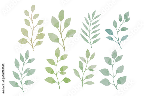 Watercolor leaves illustration set - green leaf branches collection for wedding, greetings, stationary, wallpapers, fashion, background. olive, green leaves, Eucalyptus etc 