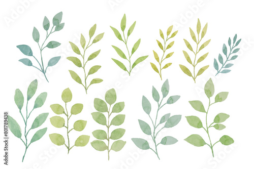 Assortment of watercolor leaves illustration set - green leaf branches collection for wedding, greetings, stationary, wallpapers, fashion, background. olive, green leaves, Eucalyptus etc