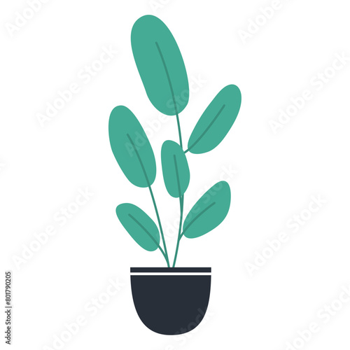 organic flat houseplant on white background