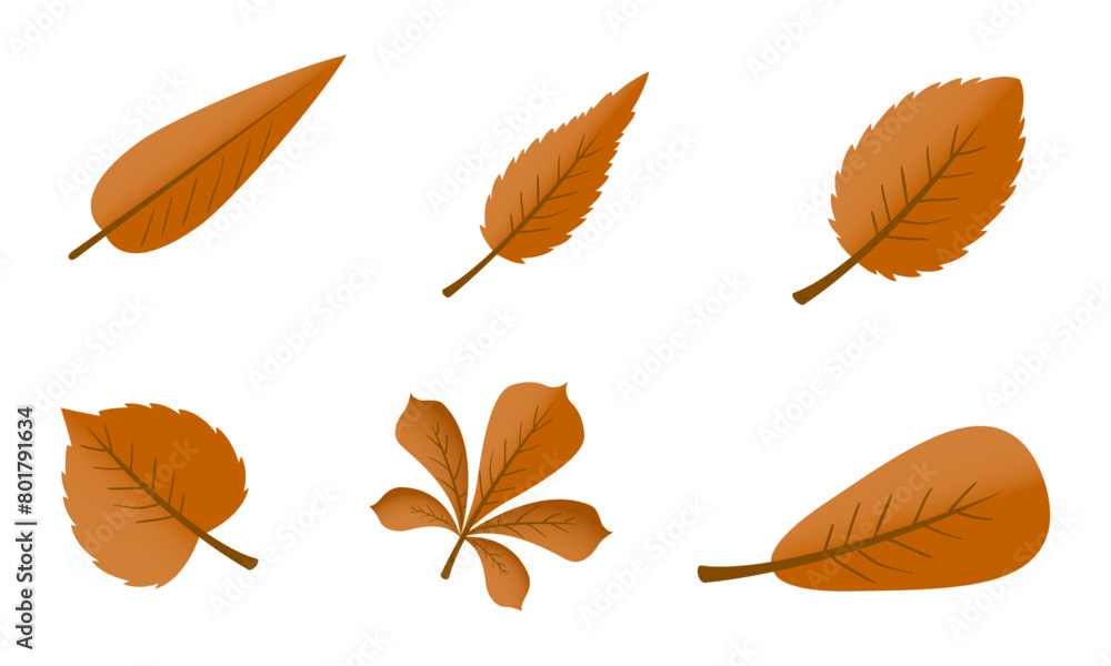 Obraz premium flat design yellow leaves pack on white background