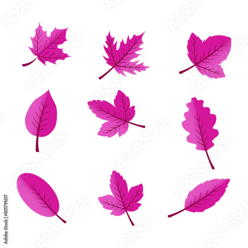 Flat design pink leaves pack on white background