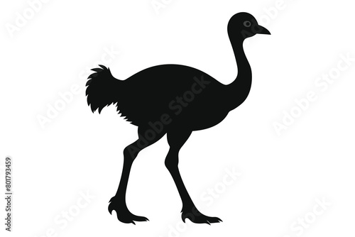Silhouette of a little ostrich walking vector design