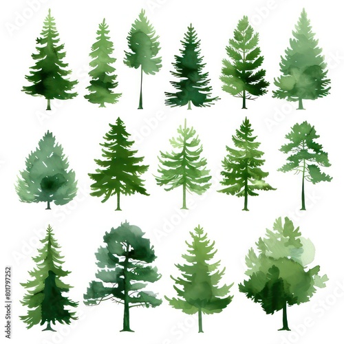 forest trees  simplified stencil on a white background