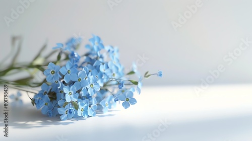 Forgetmenot bouquet, minimalist white background, elegant floral design magazine cover, soft diffused lighting, perfectly centered