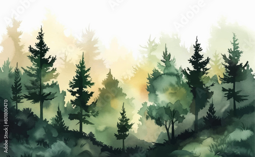 Forest silhouette background. Watercolor painting of a spruce forest