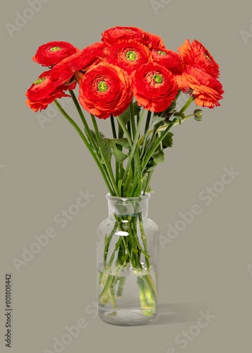 Red ranunculus in glass vase  flower arrangement  home decor