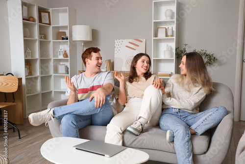 Young friends chatting on s...