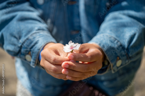 person holding a flower © Hide_Studio