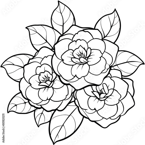 Camellia Flower Bouquet outline illustration coloring book page design  Camellia Flower Bouquet black and white line art drawing coloring book pages for children and adults