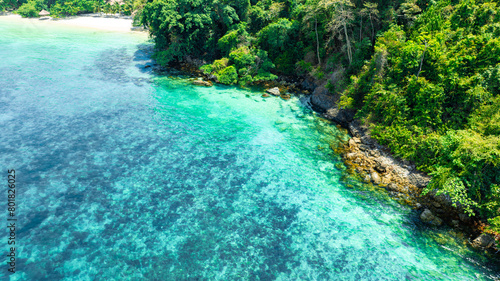 Aerial view of the dark green forest and the sea. Natural ecosystems of forests and oceans. concept of natural forest conservation 