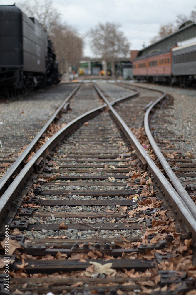 Obraz premium railway in the countryside