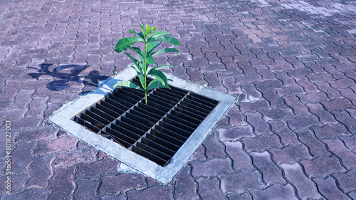 Trees growing in drainage grates. Green plants growing from steel grating over drainage pipes on outdoor brick patio background with copy space with selective focus.