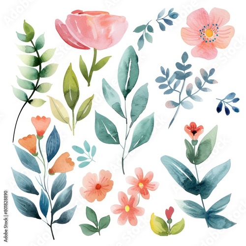 watercolor spring flowers white background