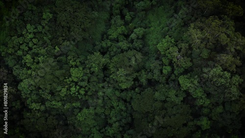 Aerial top down pan across lush green tropical forest canopy with deep gulches photo