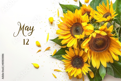 Over a white backdrop, a May 12 calendars indicate and a sunflower arrangement symbolize gratitude Mother's Day and space, Generative AI. © Electric Wolf