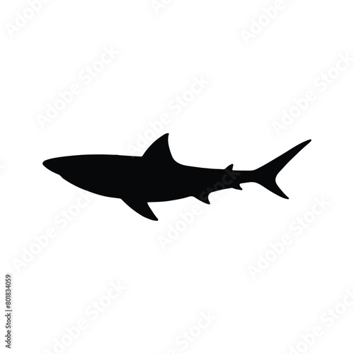 Big Fish silhouette in line art style. Fish vector by hand drawing. Fish tattoo on white background. Black and white fish vector on white background. Marine animal illustration. Marine life animal