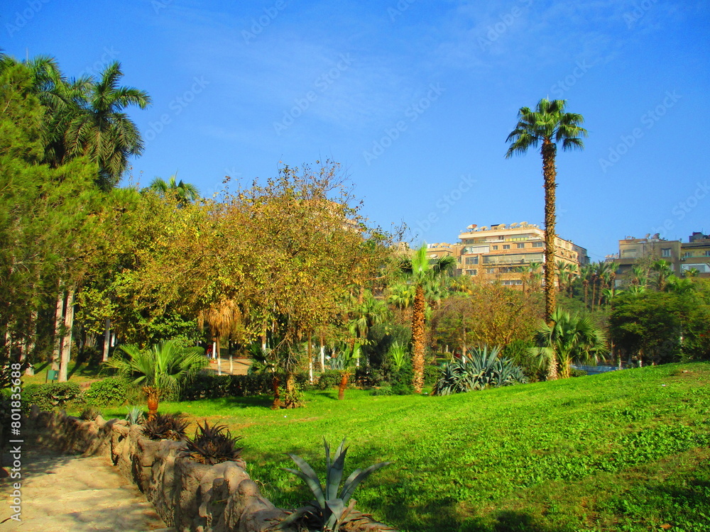 The Fish Grotto Garden in Cairo in Egypt