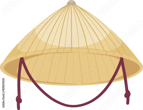 vietnamese traditional hat