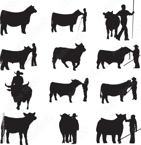 Print Show steer EPS; Clipart Livestock EPS; Show steer bundle; Show steer Cut File; Show steer Silhouette; Digital Downlod; Show Steer Cow