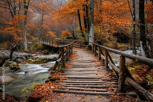 Wooden path through autumn forest with wooden bridge over small river in the style. © K'kriang Krai