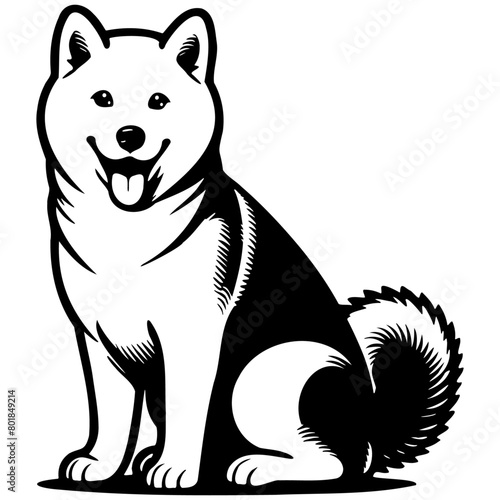 Shibu Inu Dog Illustration.