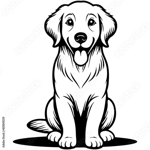 Golden Retriever Dog Illustration.