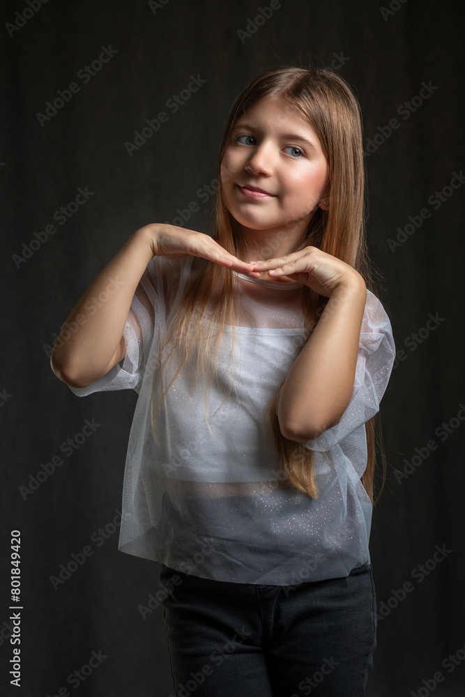 Studio portrait of a young beautiful long-haired girl. Studio portrait of a young beautiful long-haired girl.