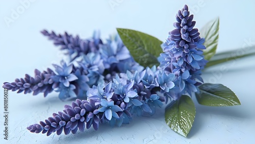 3D digital art of blue cohosh botanical on isolated background. Concept Botanical Art, Blue Cohosh, 3D Digital, Isolated Background photo