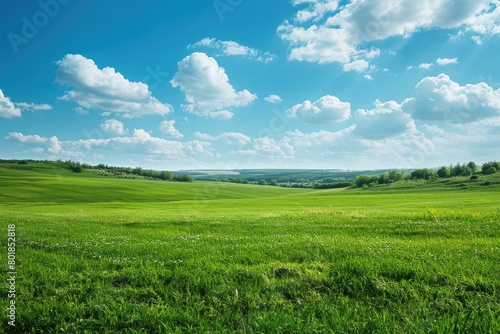 Lovely summertime countryside in Ukraine  Europe. Generative Ai