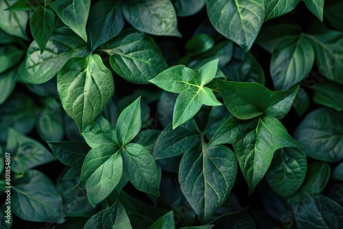 A close-up of a lush green leafy vine. Generative Ai