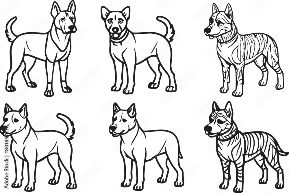 Set of dog outline. Vector illustration in black and white colors.
