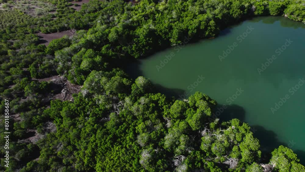 A Scenic View of the Natural Beauty in Bahia Concepcion, Baja California Sur, Mexico - Aerial Drone Shot A Scenic View of the Natural Beauty in Bahia Concepcion, Baja California Sur, Mexico - Aerial Drone Shot
