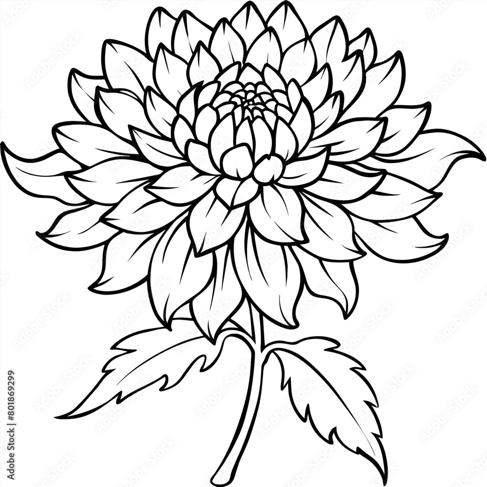 Chrysanthemum flower plant outline illustration coloring book page design, Chrysanthemum flower plant black and white line art drawing coloring book pages for children and adults
