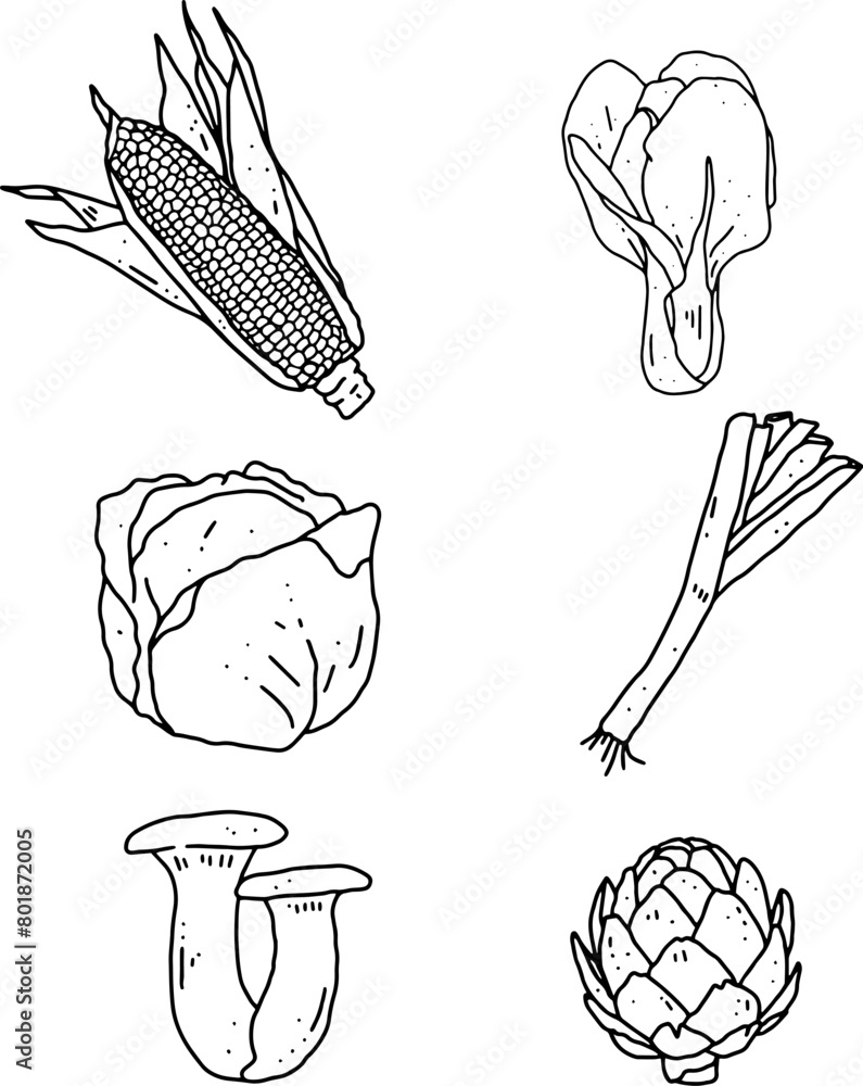 Fototapeta premium vegetables element design for templates.