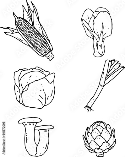 vegetables element design for templates.